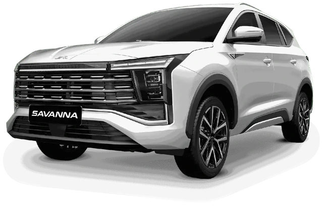 Savanna